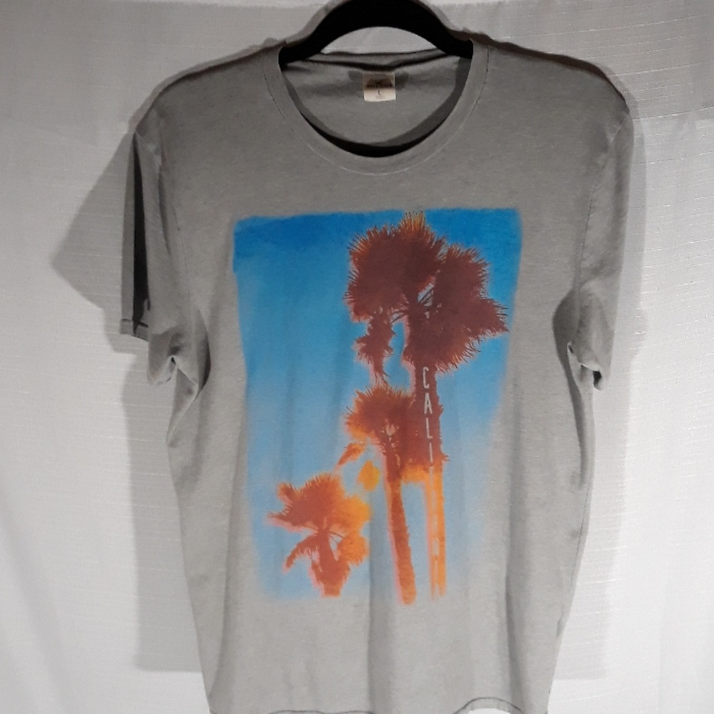 Hollister t-shirt